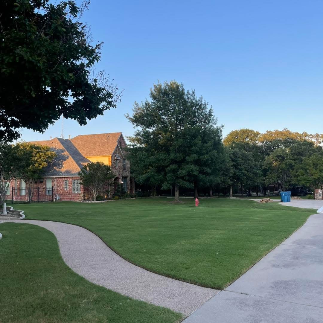 Green lawn