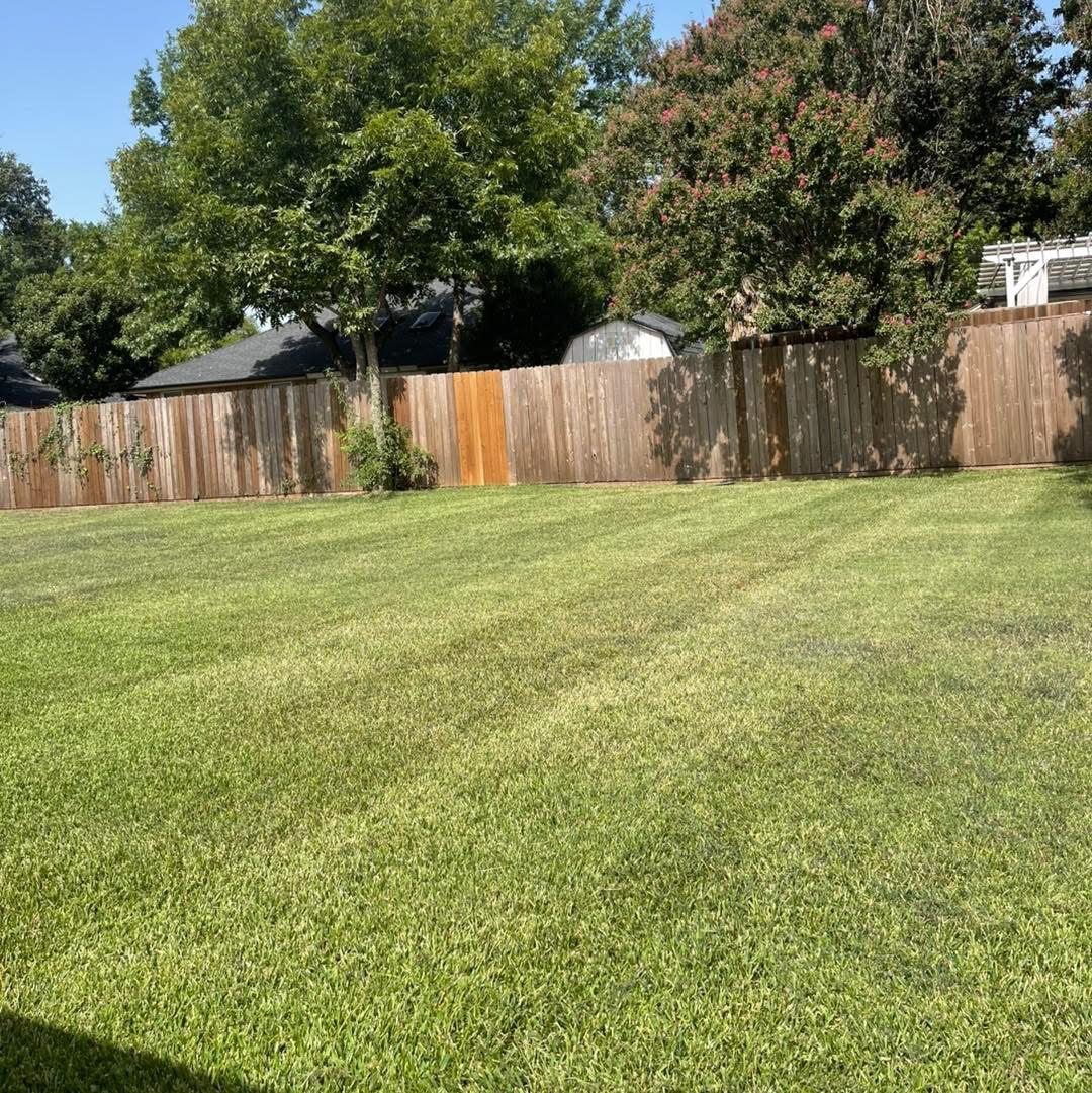 Mowed green lawn